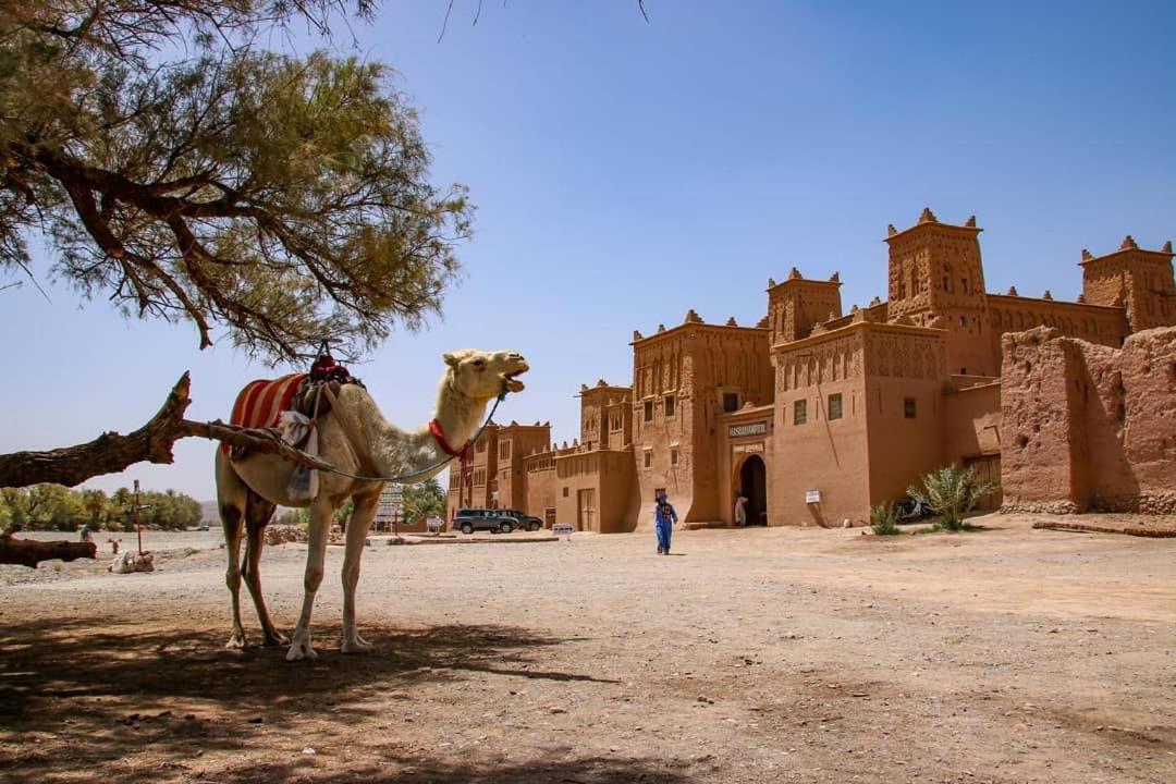 Hotel Kasbah Tiriguioute Skoura Exterior foto