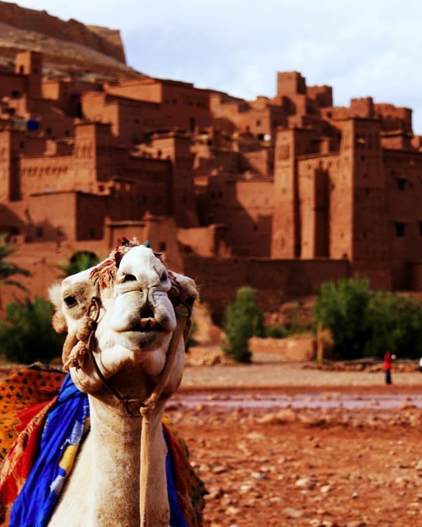 Hotel Kasbah Tiriguioute Skoura Exterior foto